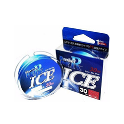 ICE