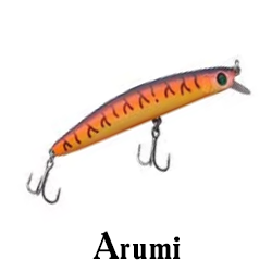 Arumi