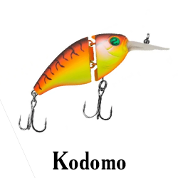 Kodomo