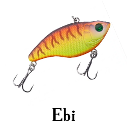 Ebi