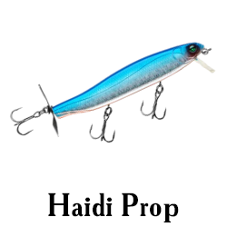 Haidi Prop