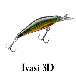 Ivasi 3D