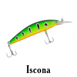 Iscona