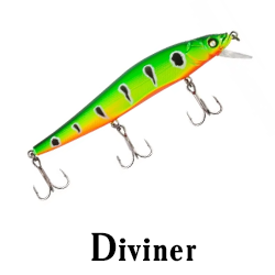 Diviner