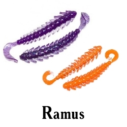 Ramus